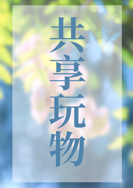共享玩物(NP)